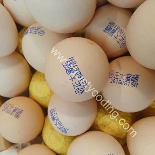 07-Egg Coding Machine