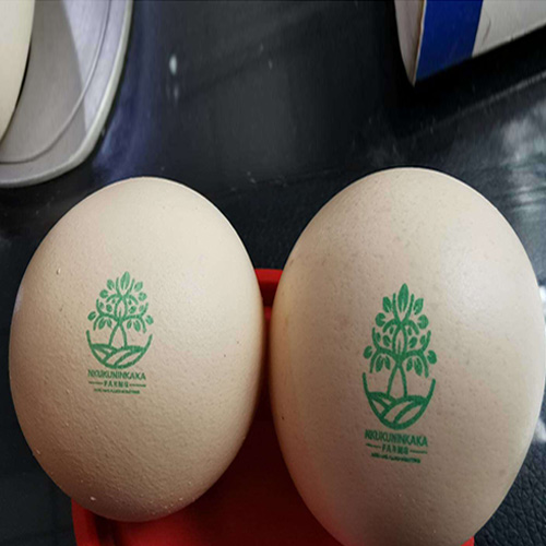 TIJ Printing Green Logo on Egg